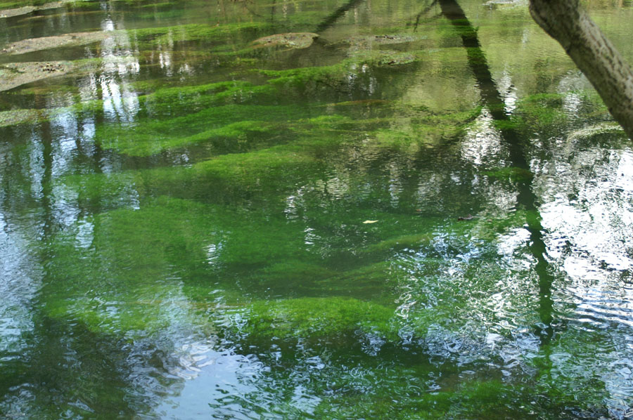 42_PICT0029_springs of the Rhume