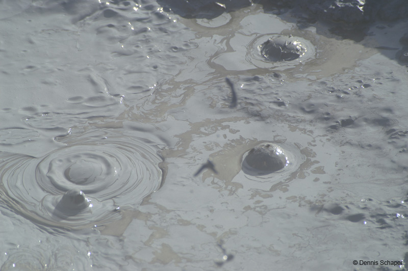 PICT7812_boiling mud