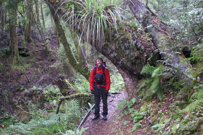 PICT7990_great walk around Lake Waikaremoana