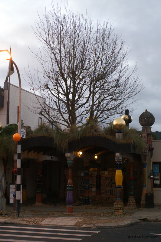 PICT8234_in Kawakawa