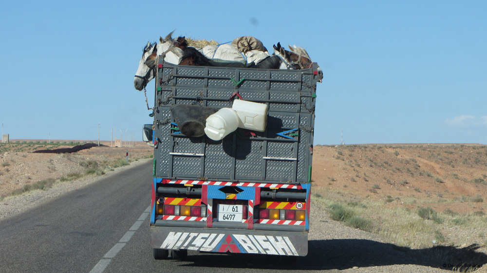 IMG_1470_on the 600km drive from Marrakesh to the desert