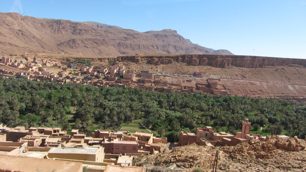 IMG_1515_the palmeries..desert community