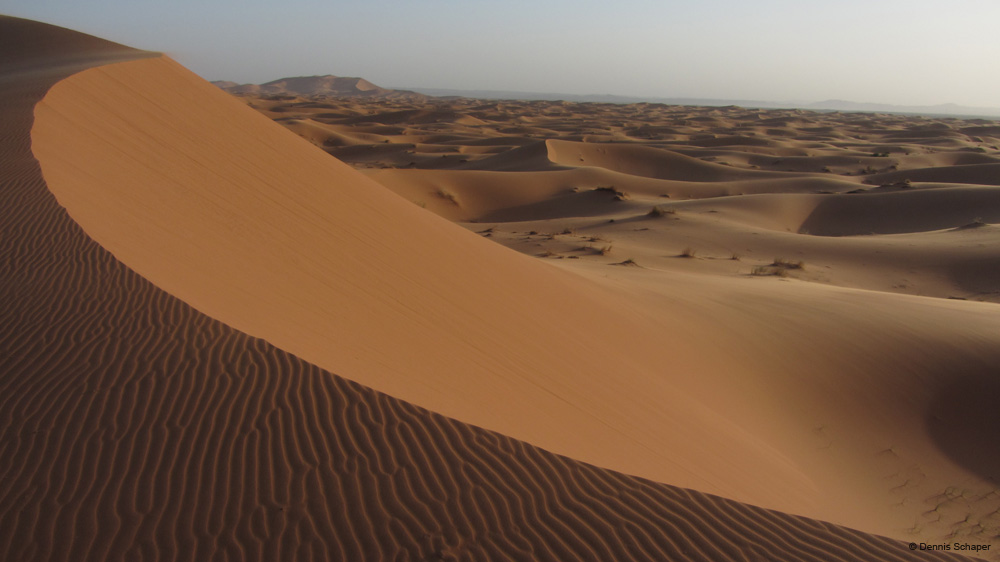 IMG_1653_desert beauty