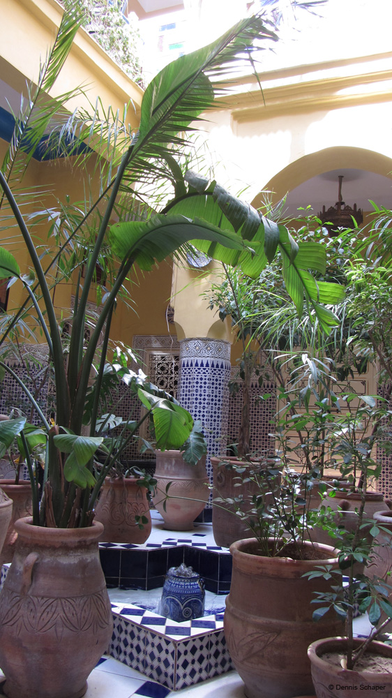 IMG_1855_hotel court yard