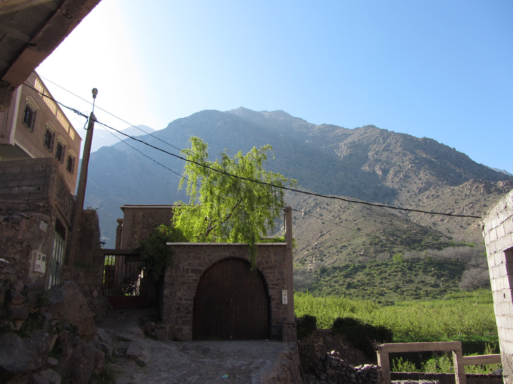 IMG_2038_slowly walking back to zivilasation