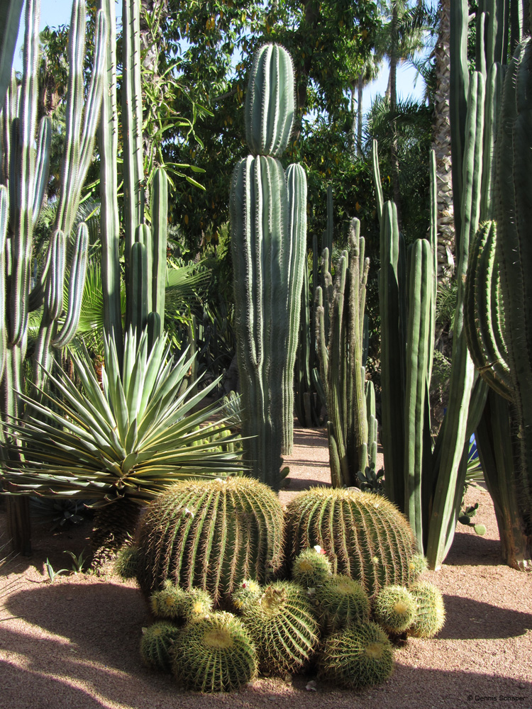 IMG_2199_a small family