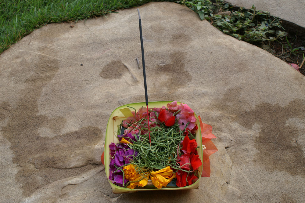 PICT2824_offerings to the gods_every day we sounds plenty of them