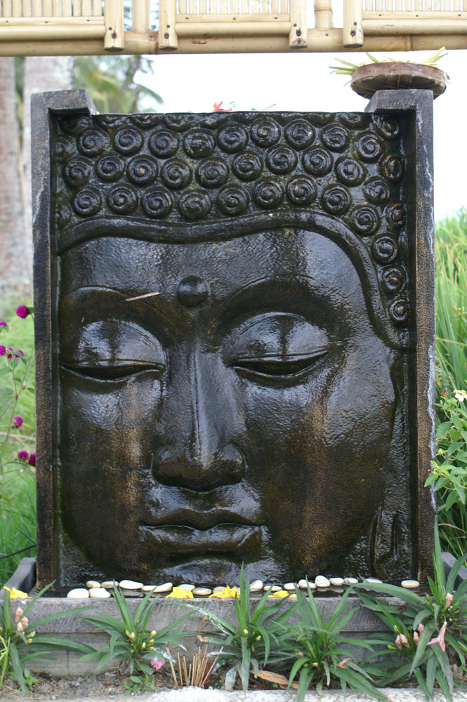 PICT2837_walk along the Paddy rice field walk