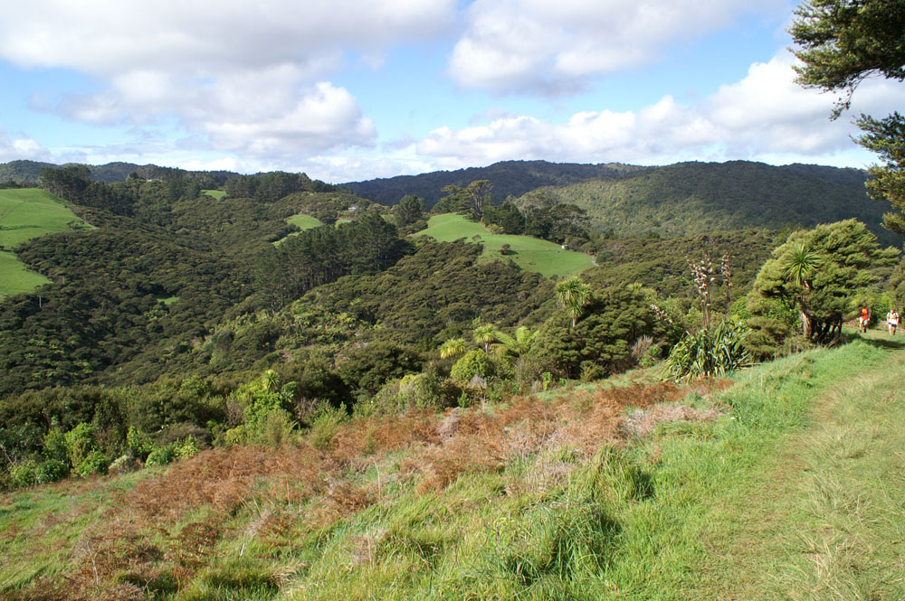 PICT2201_near Karekare (West Auckland)