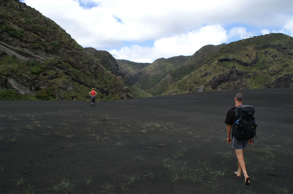 PICT2273_black beauty walk