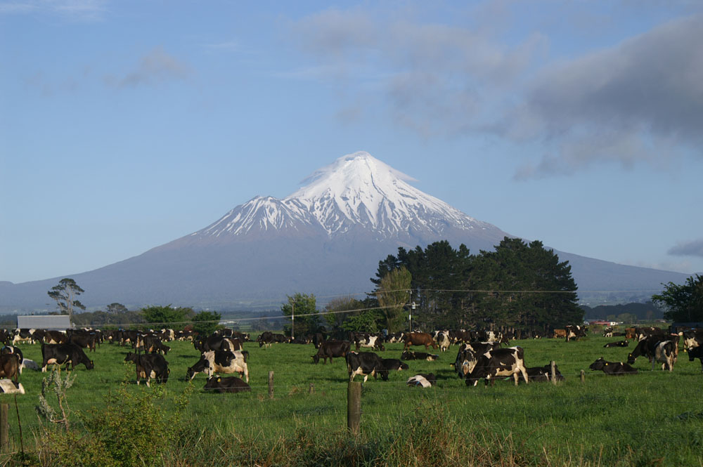 PICT2558_Mt Taranaki in all its glory again