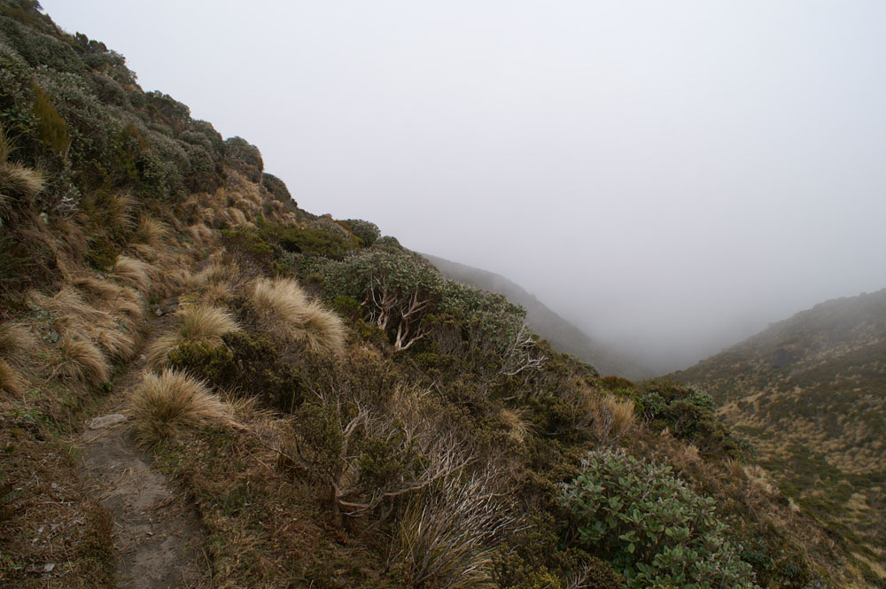 PICT2588_the rain is approaching