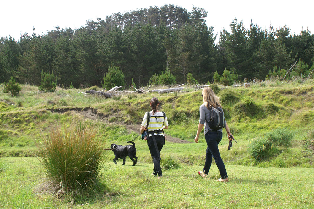 PICT2620_the sisters and chopper and quinn!