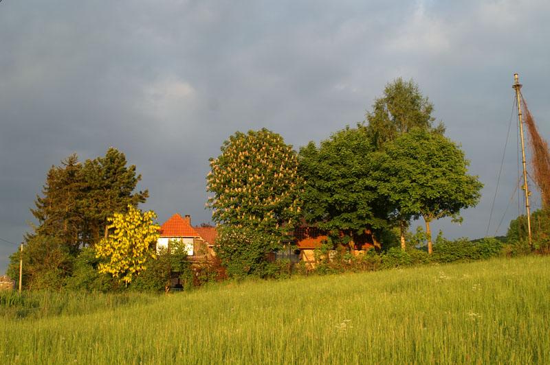 01_PICT0005_home sweet home