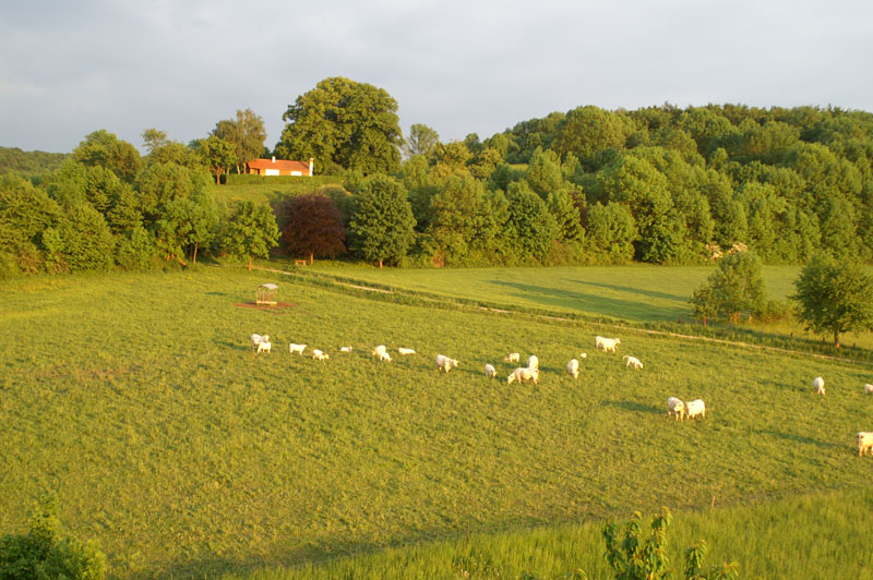 08_PICT0018_THE GIRLS_Die Mädels