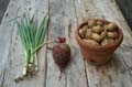 15_PICT0057_spring onion, beetroot and potatoes