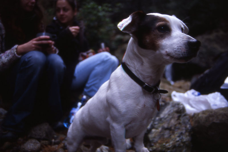 File0196_posing Snoey 