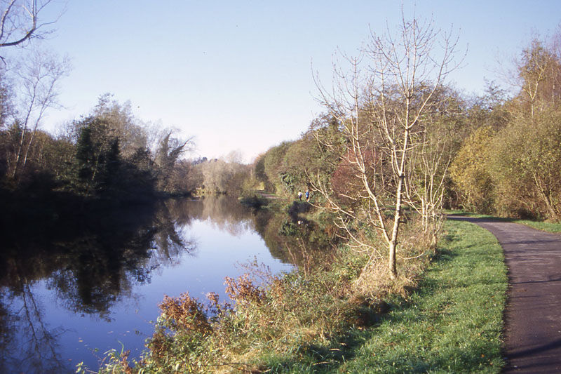 File0202_autumn feeling at the lagan