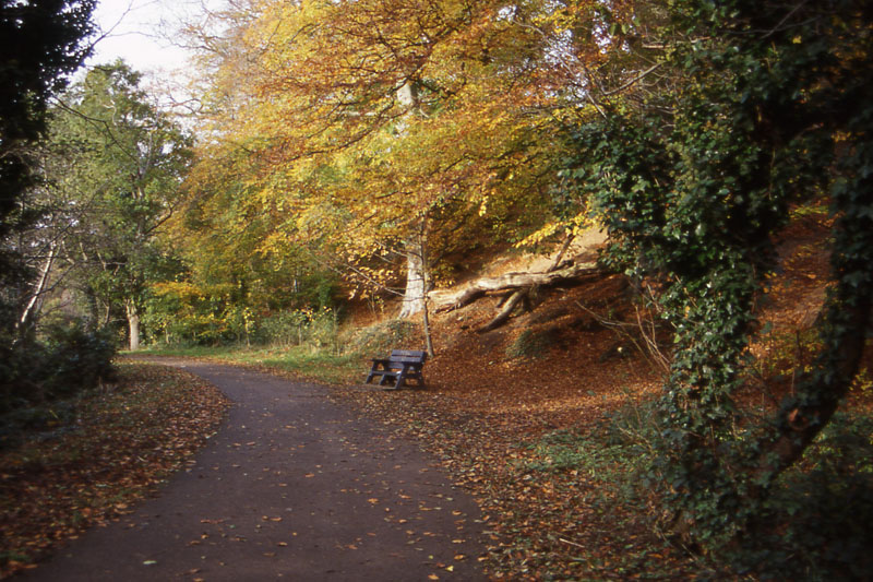 File0204_wonderful lagan river cycling path!