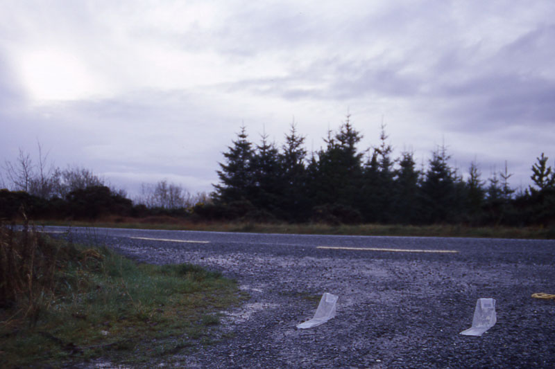 File0238_dirty sandwich world