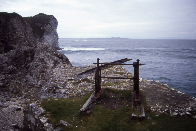 File0341_gorgeous Kinebane Head