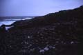 File0364_Giants Causeway