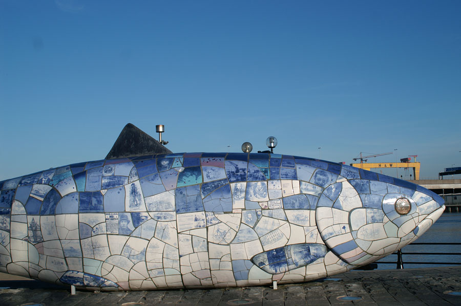 15_PICT0007_Belfast Fish