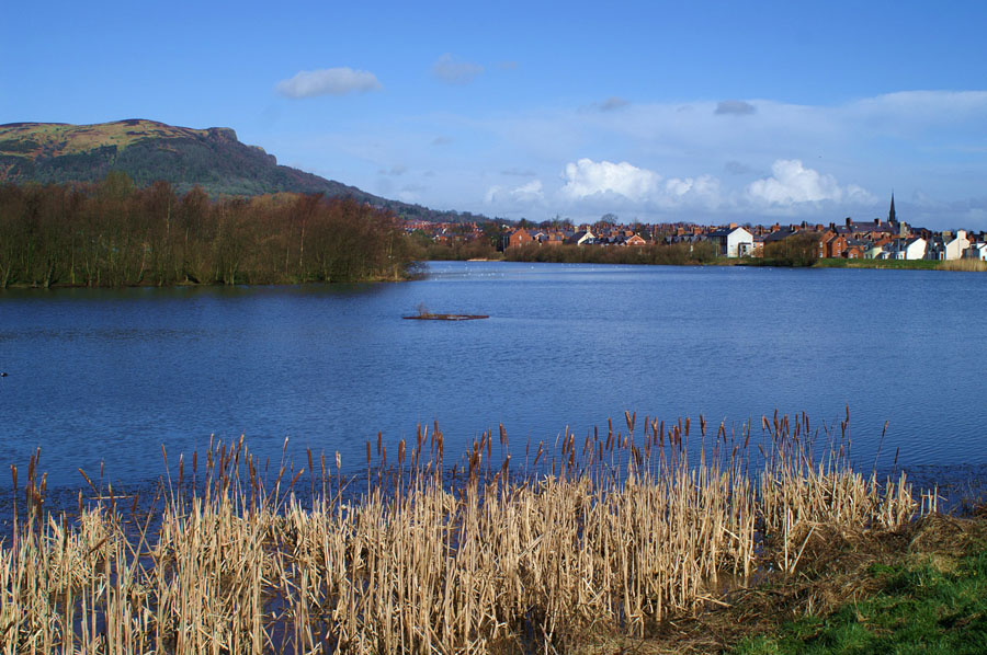 28_PICT0037_Alexandra Park